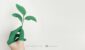 Stay green