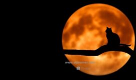 speaking about superstitions speaking about superstitions